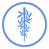 Logo of WHO Foundation