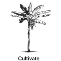 Logo of Cultivate