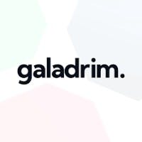 Logo of Galadrim